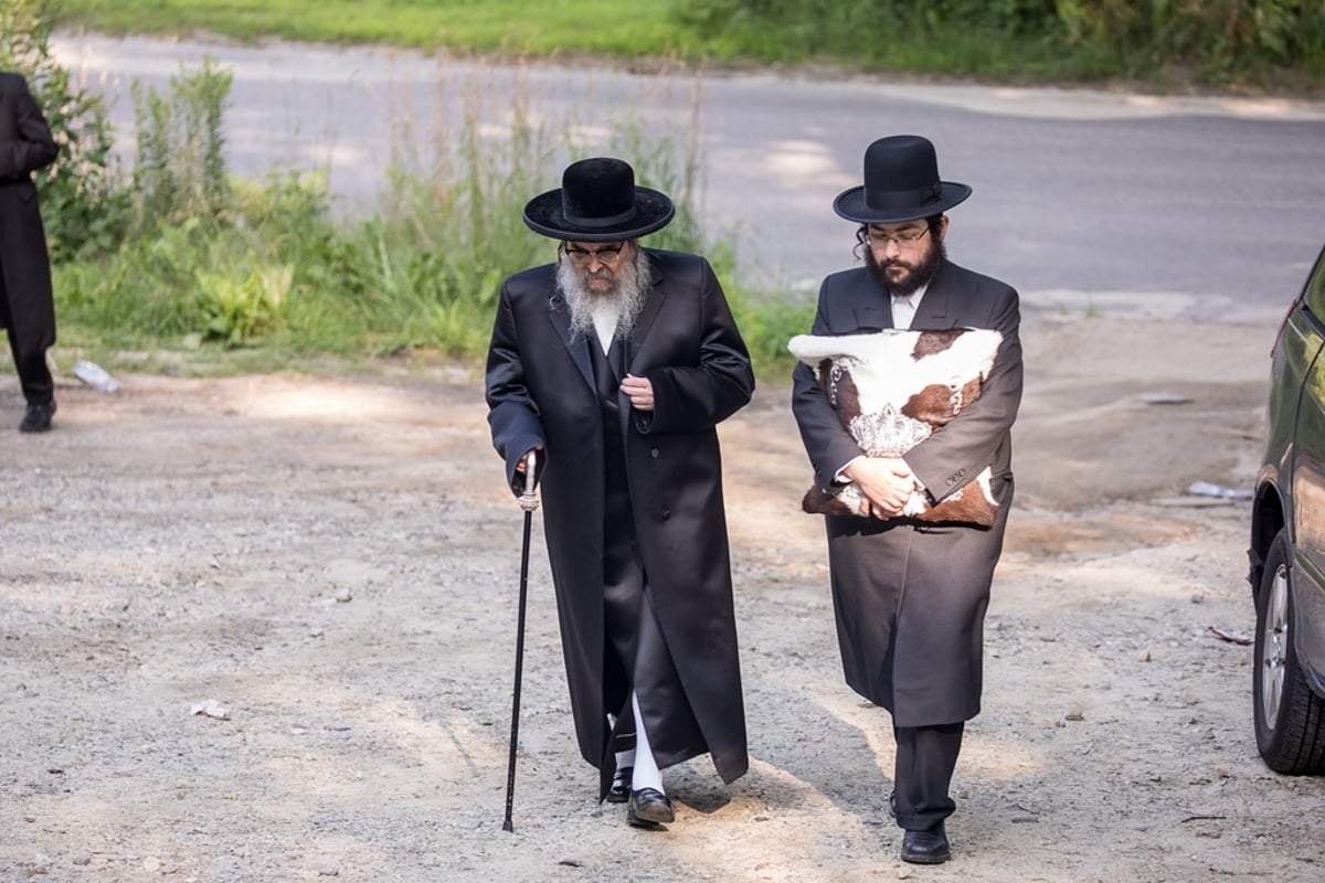 הקושיא והטיול: הצצה לנופש האדמו"ר מסאטמר • צפו