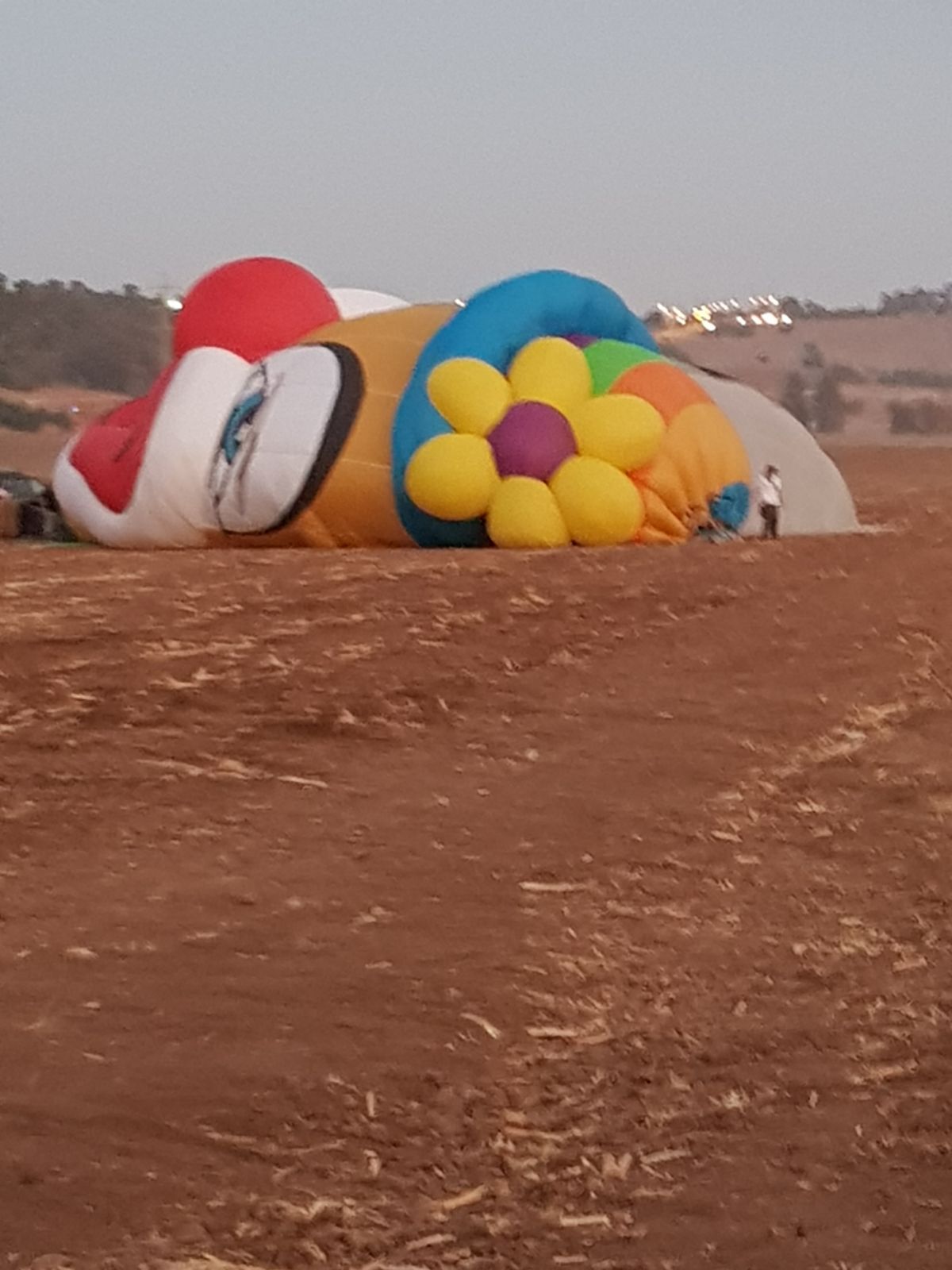 פסטיבל כדורים פורחים בעמק יזרעאל • צפו