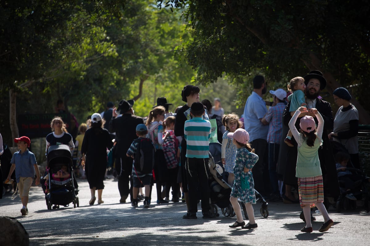 ביקור מצולם בגן החיות התנכ"י • צפו בגלריה