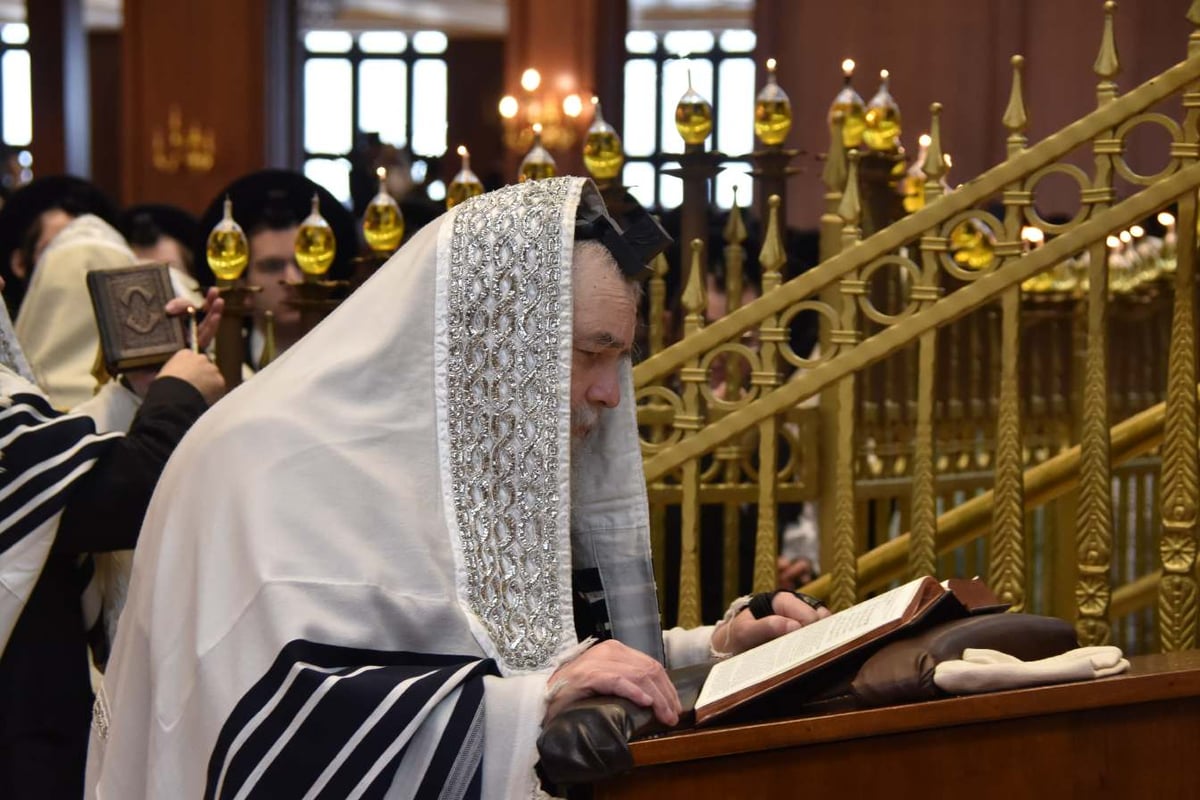 צפו בגלריה: הילולת המהר"א מבעלזא