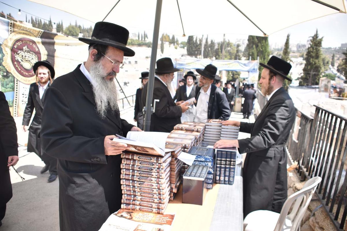 צפו בגלריה: הילולת המהר"א מבעלזא