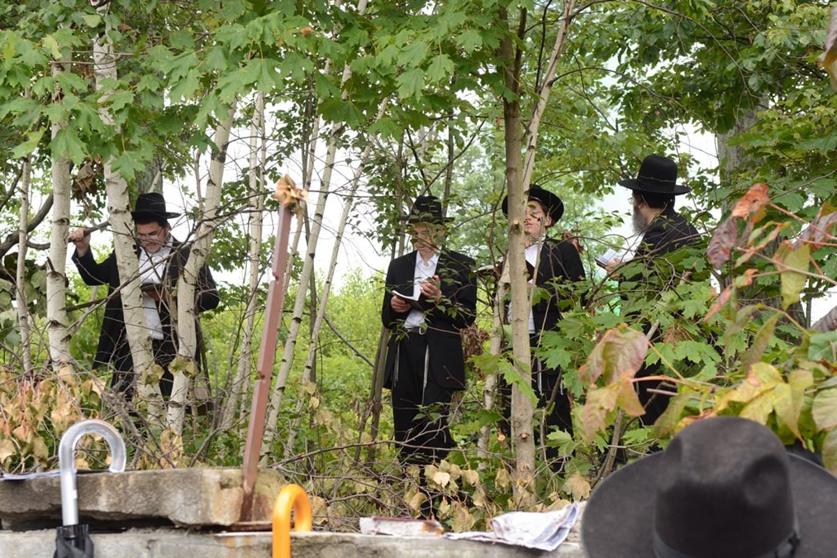 הילולת ה'דברי יואל' מסאטמר • תיעוד ענק