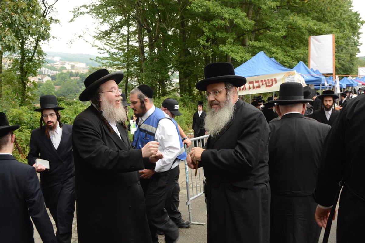 הילולת ה'דברי יואל' מסאטמר • תיעוד ענק