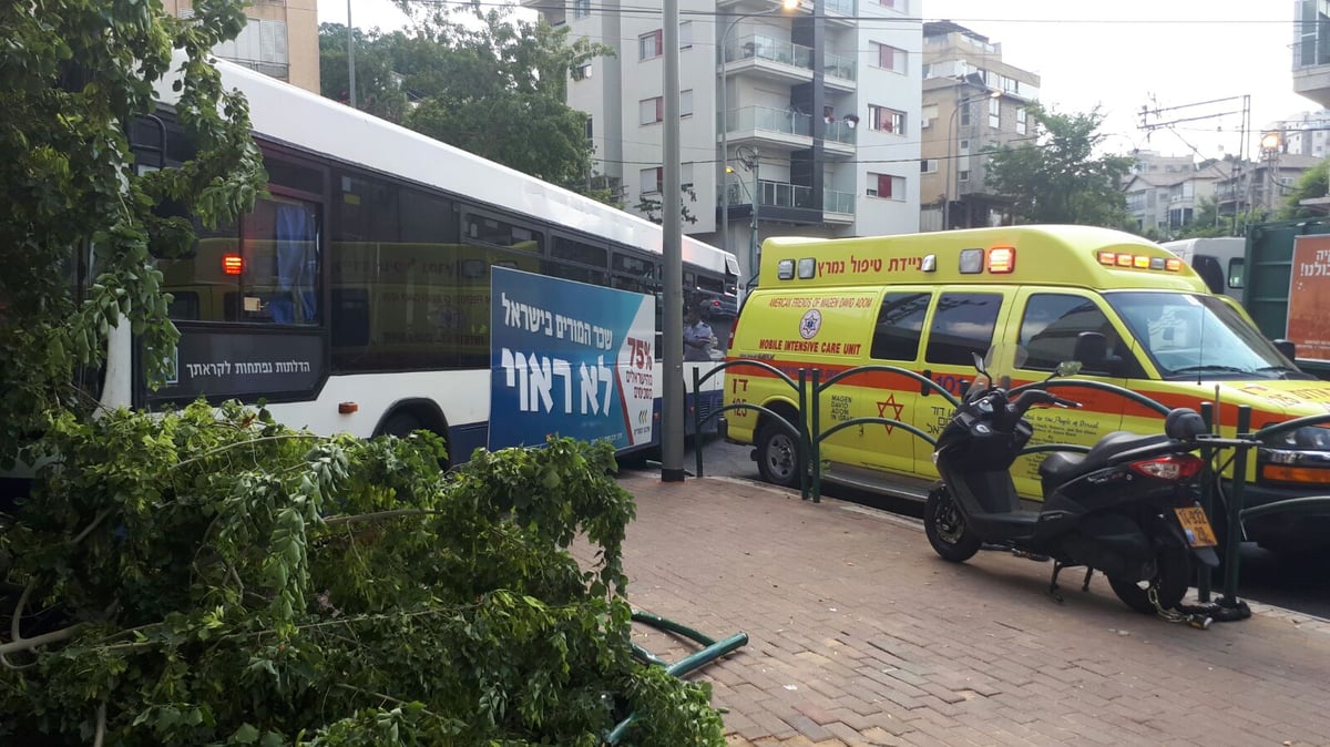 האוטובוס עלה על המדרכה ופגע בבית קפה