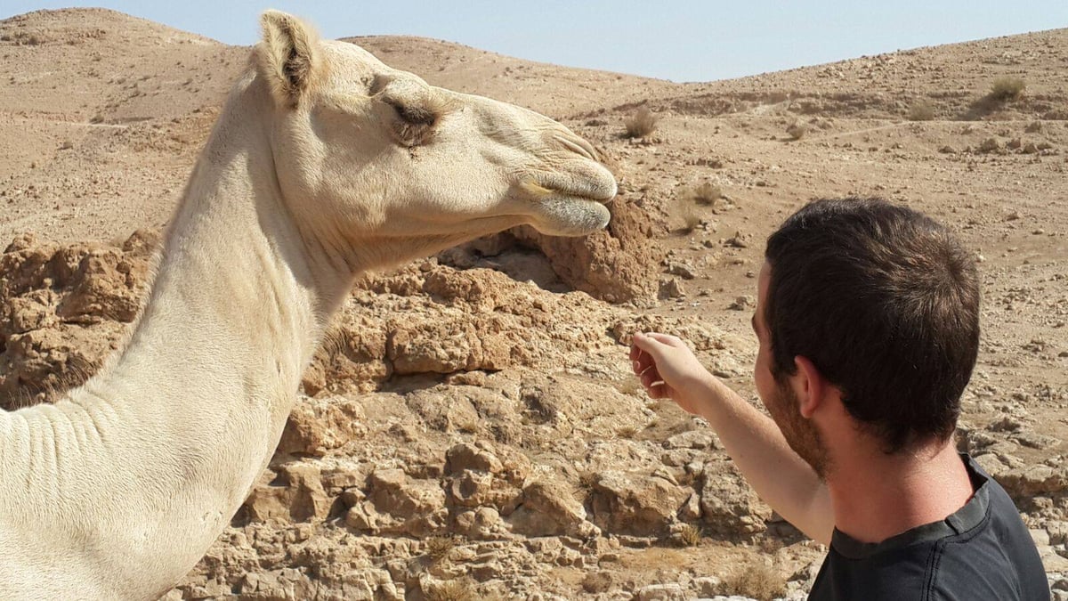 בני המשפחה שנעלמו עם הג'יפ במדבר - אותרו ע"י מסוק