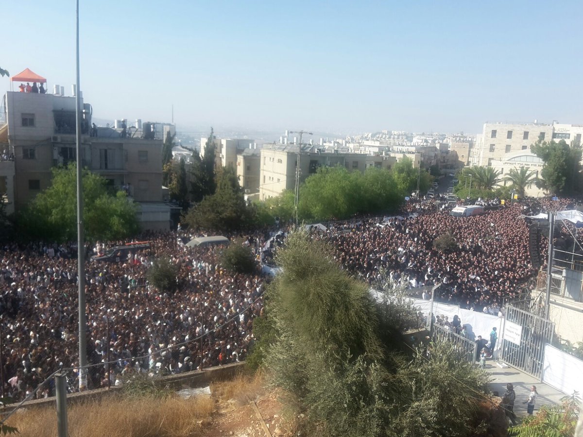 בנוכחות רבבות חסידים: נכדו של הרבי מגור התחתן