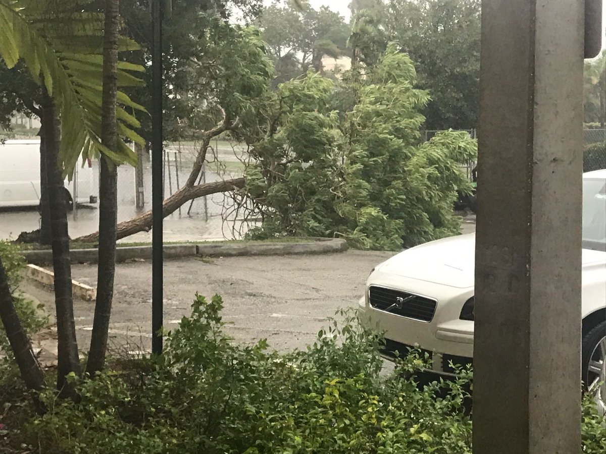 עדות מהקהילה בפלורידה: "סיימנו סליחות והסופה הגיעה"