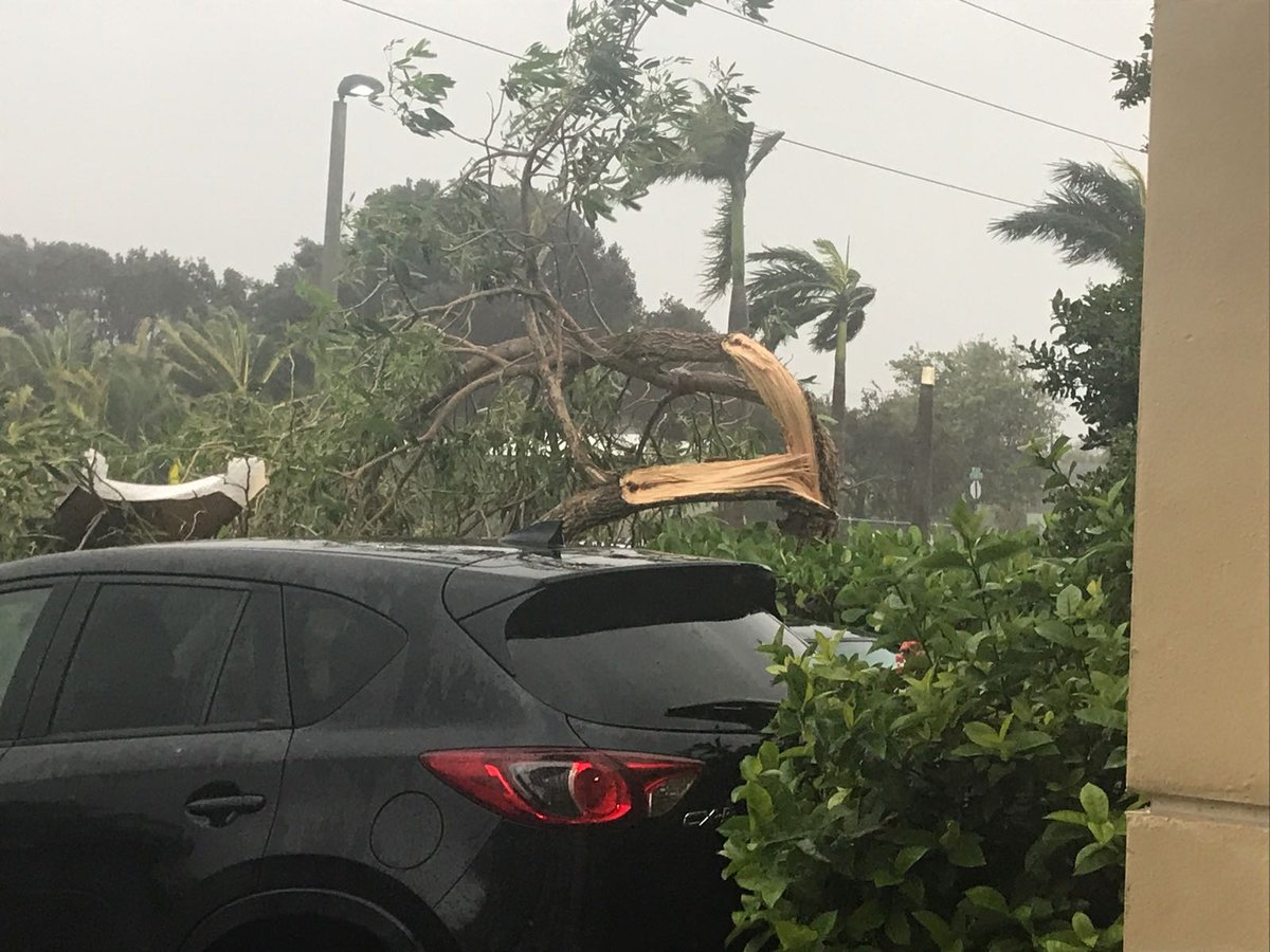 עדות מהקהילה בפלורידה: "סיימנו סליחות והסופה הגיעה"