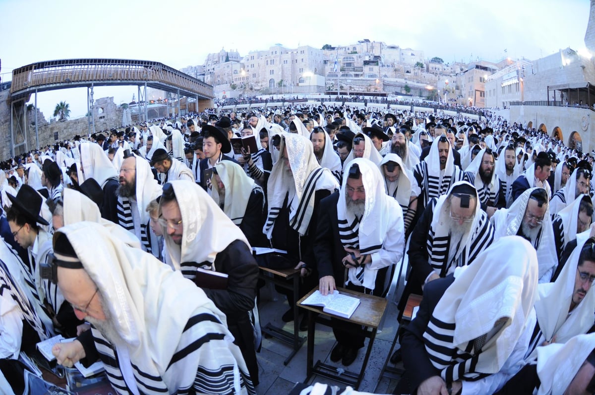 הילולת החפץ חיים:  אלפים התפללו בכותל • צפו