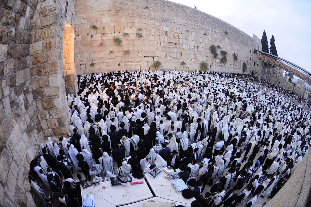 הילולת החפץ חיים:  אלפים התפללו בכותל • צפו