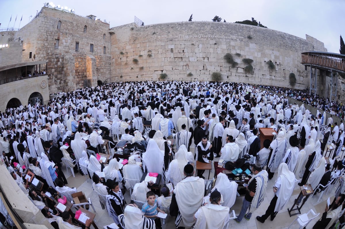 הילולת החפץ חיים:  אלפים התפללו בכותל • צפו