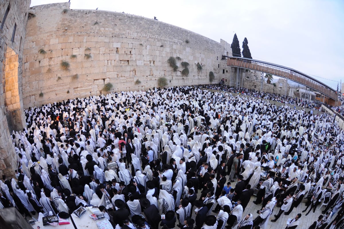 הילולת החפץ חיים:  אלפים התפללו בכותל • צפו