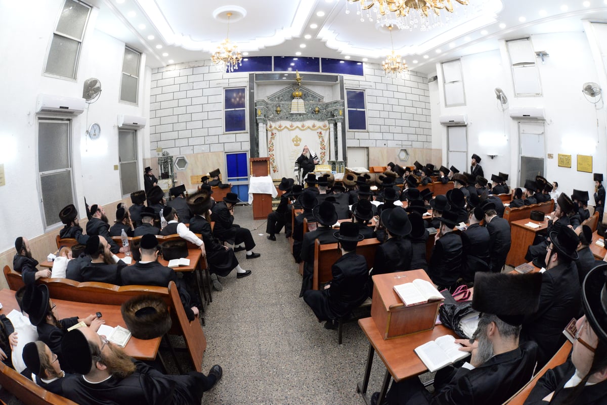 הסליחות הראשונות בחצרות אדמו"רי בני ברק • צפו