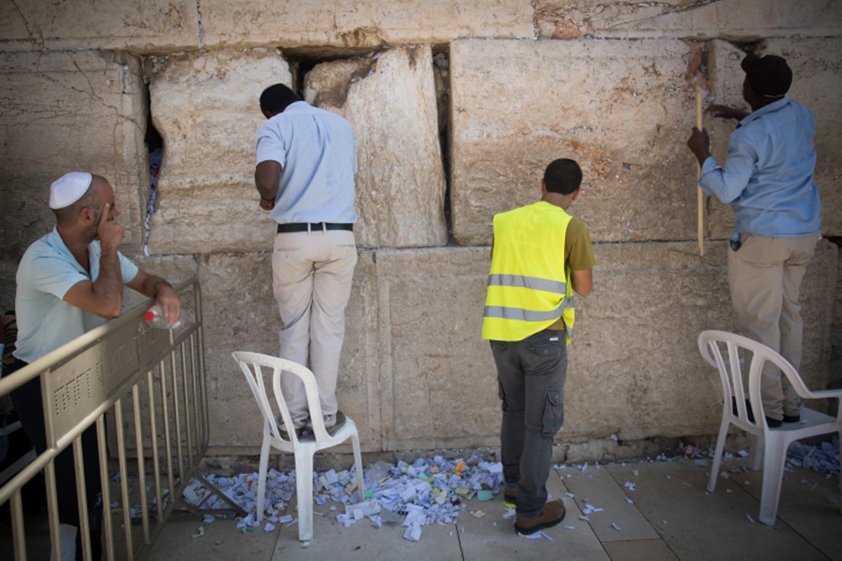 "אדון הסליחות" של הילדים בכותל • וידאו