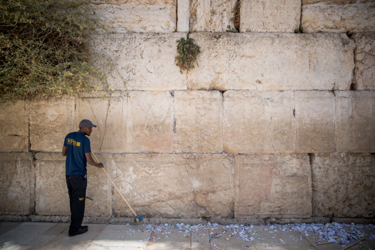 "אדון הסליחות" של הילדים בכותל • וידאו