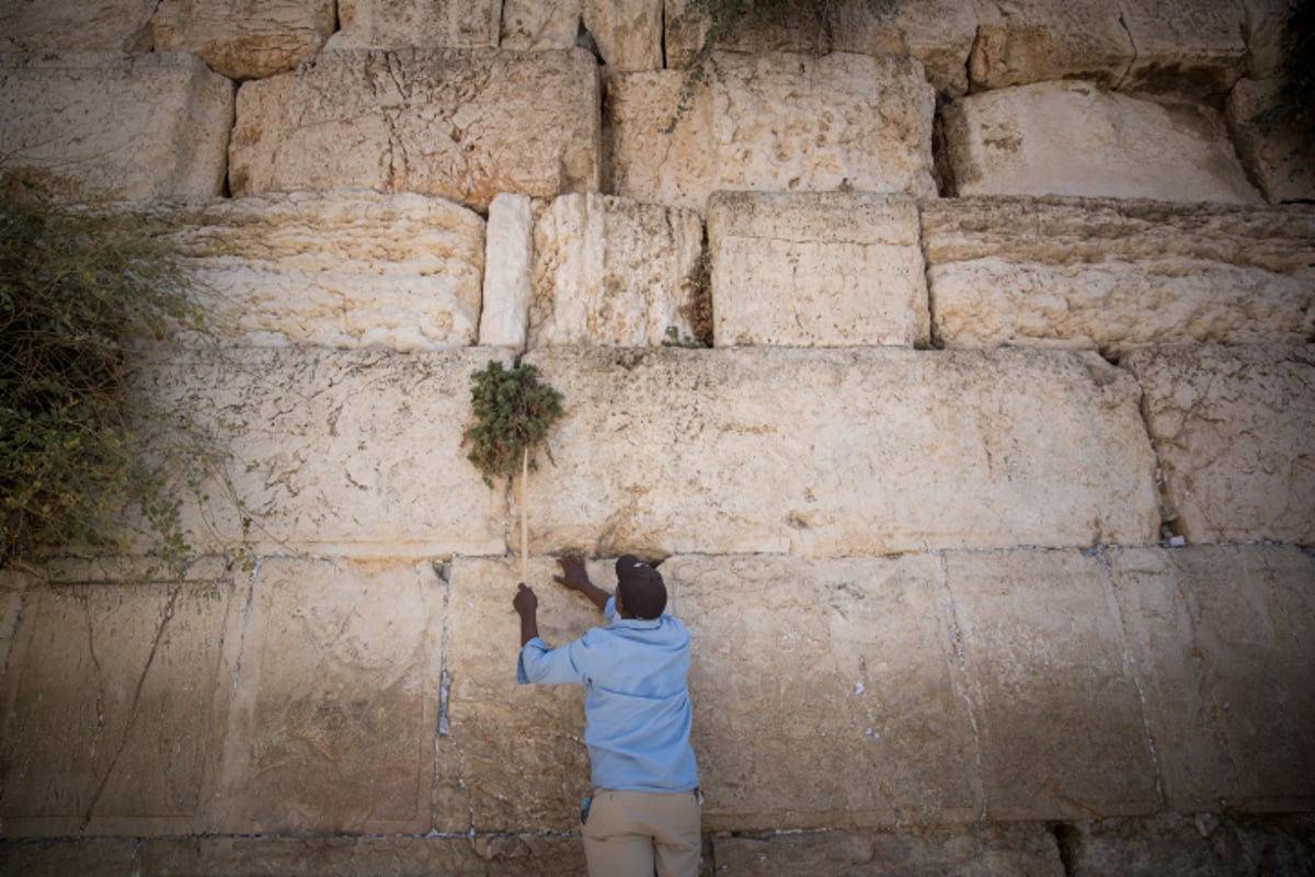 "אדון הסליחות" של הילדים בכותל • וידאו