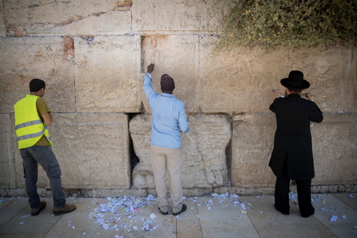 "אדון הסליחות" של הילדים בכותל • וידאו