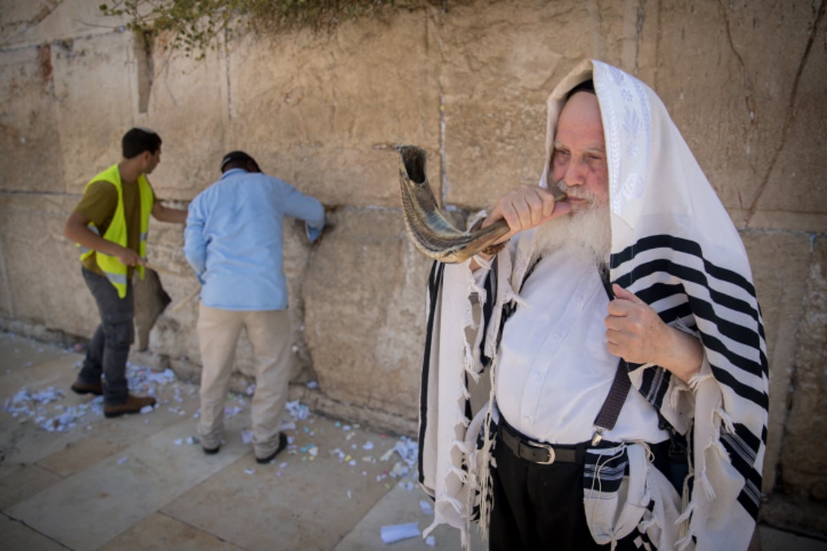 "אדון הסליחות" של הילדים בכותל • וידאו