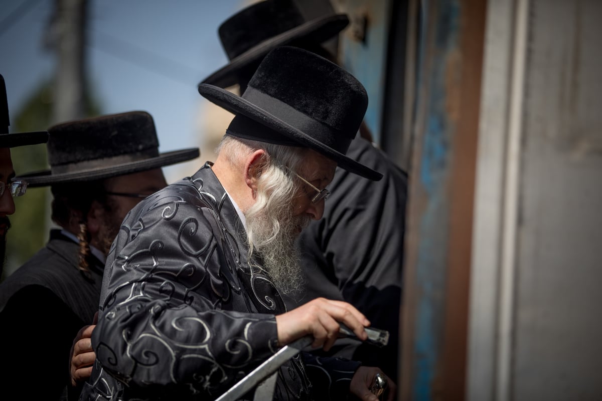 אלימות השוטרים בהפגנה - בתמונות • צפו