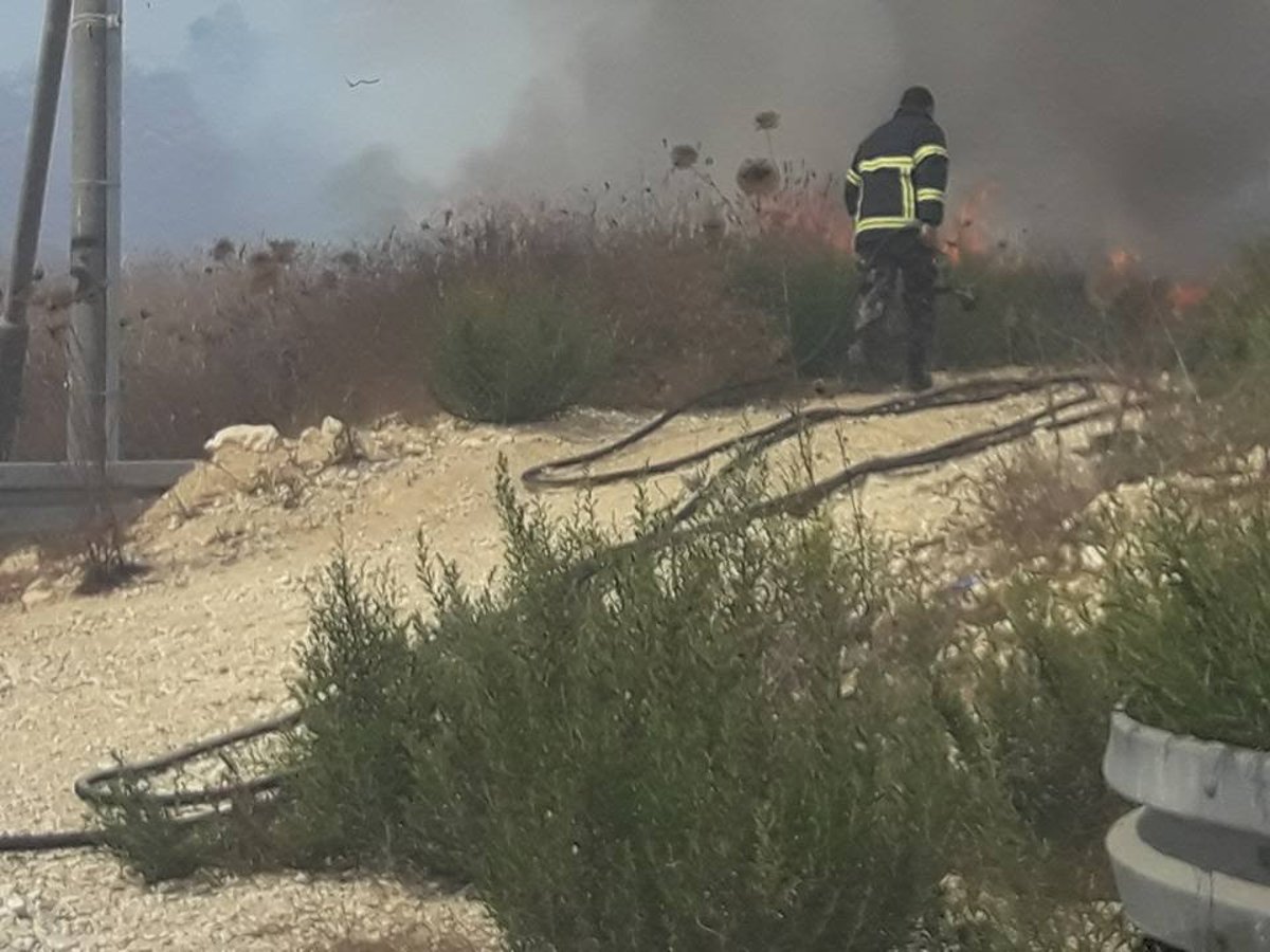 כלב של נער גבעות נשך קצין במהלך פינוי מאחז