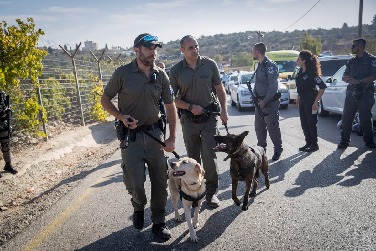 שלושה נרצחים בהר אדר • זירת הפיגוע בתמונות