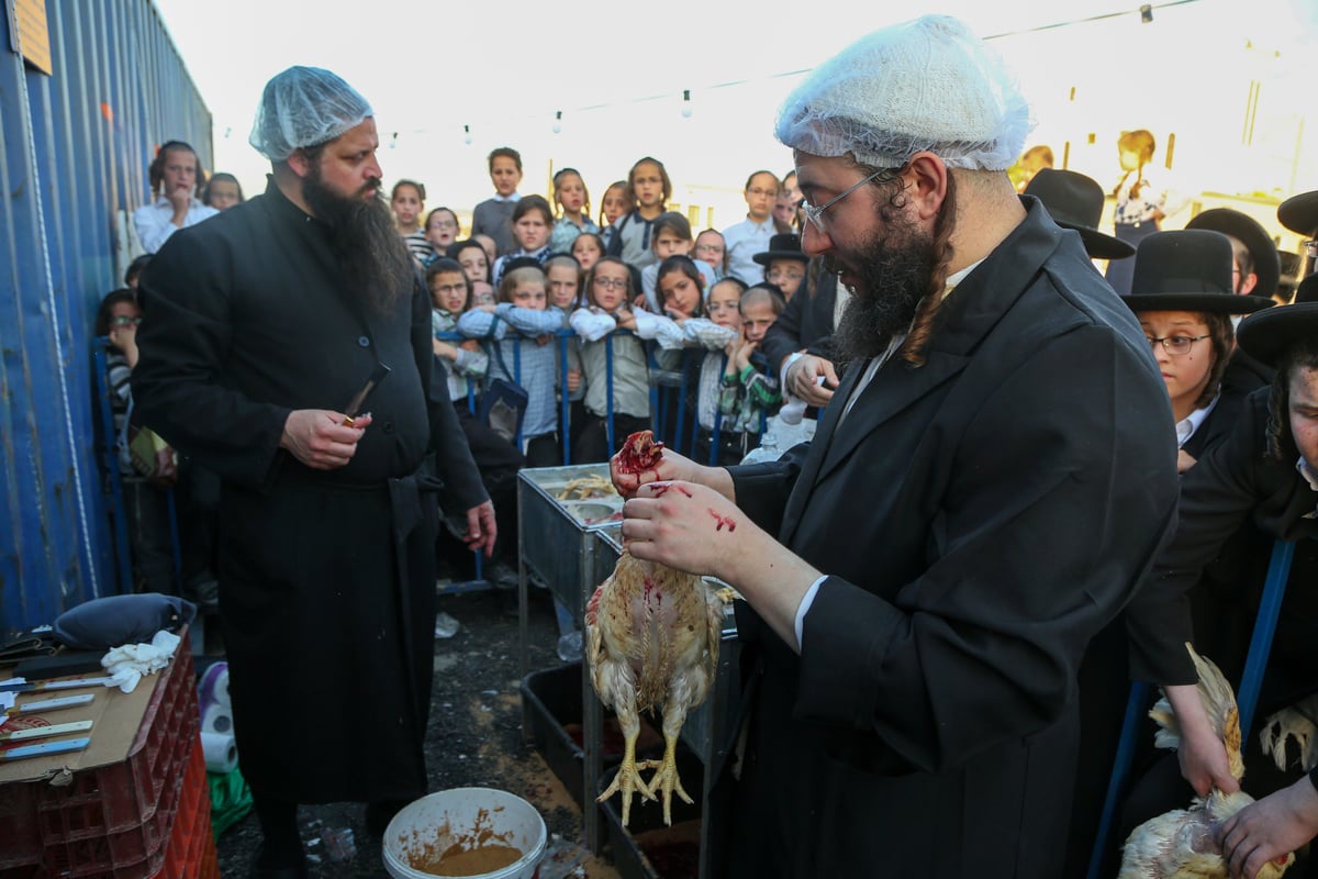 ערב יום כיפור: כפרות בבית שמש • צפו