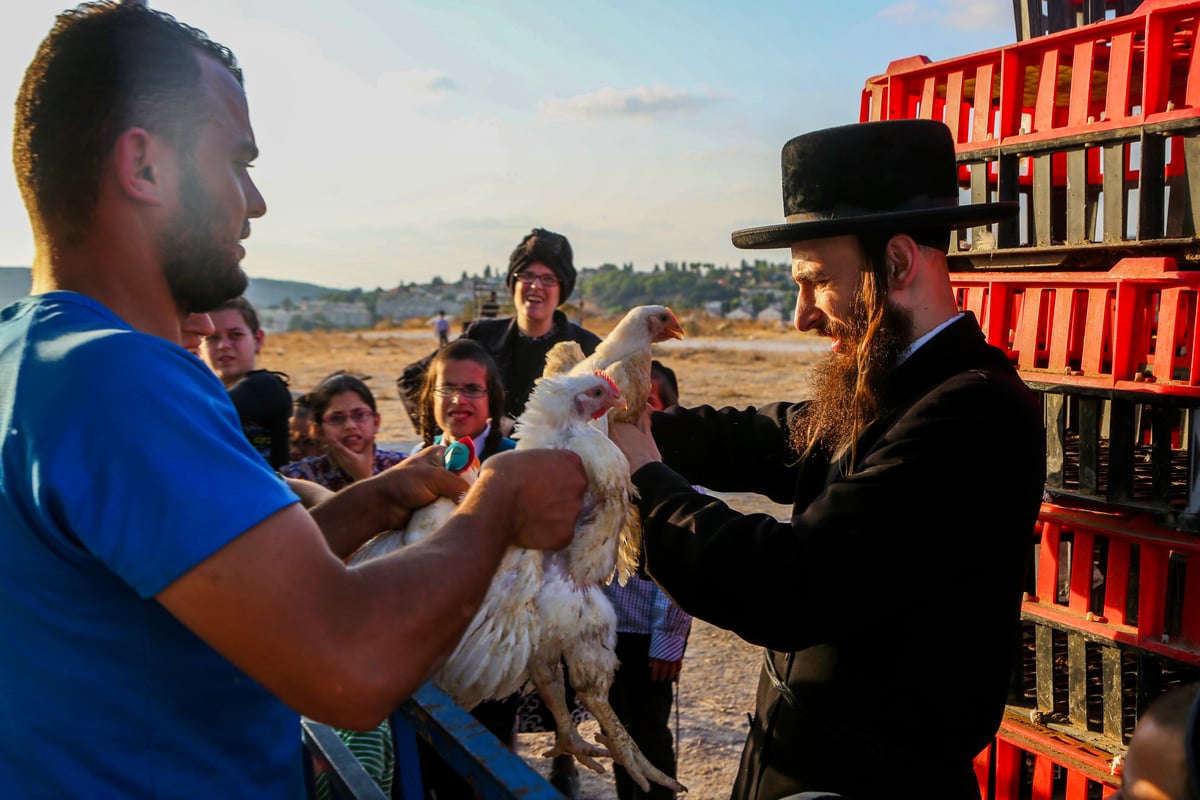 ערב יום כיפור: כפרות בבית שמש • צפו