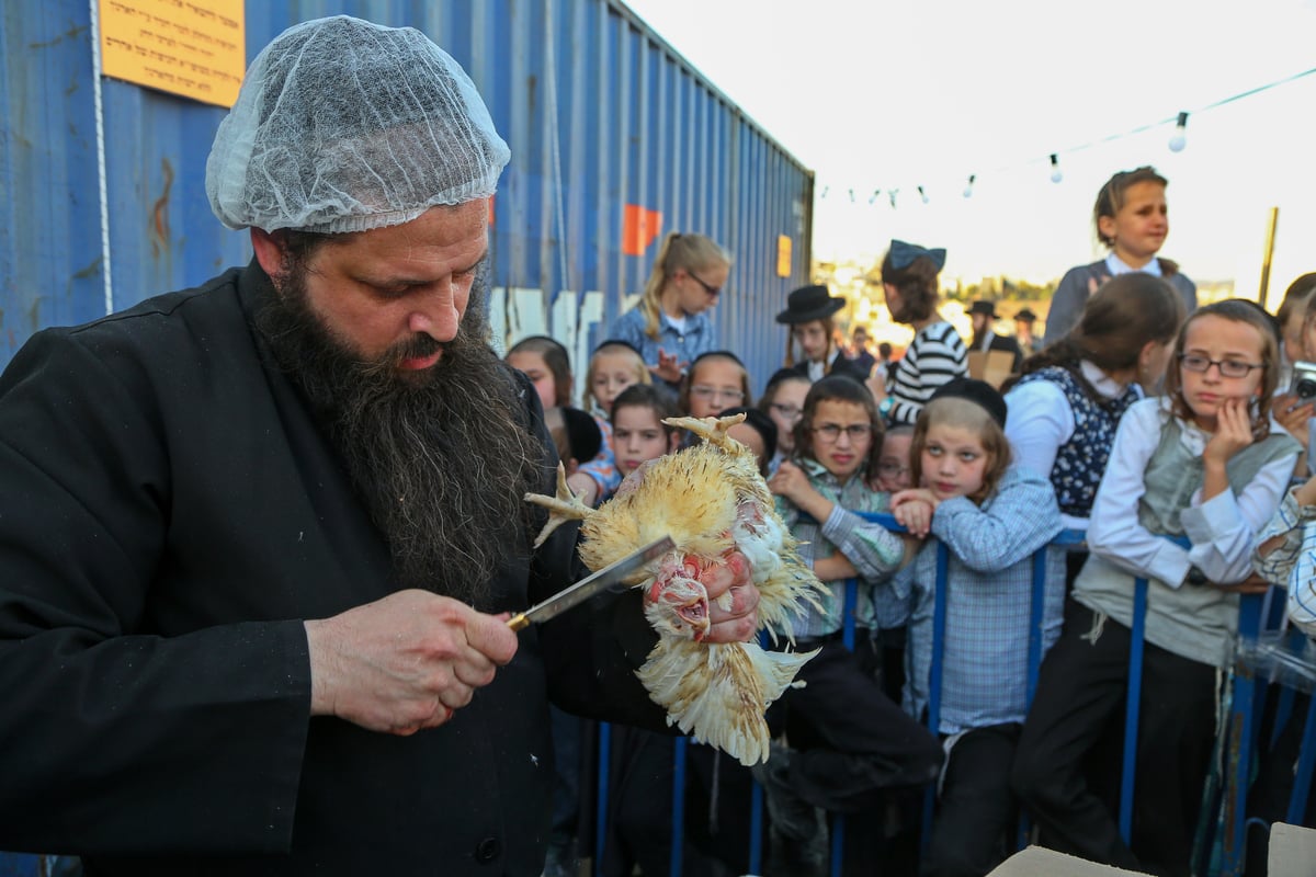 ערב יום כיפור: כפרות בבית שמש • צפו