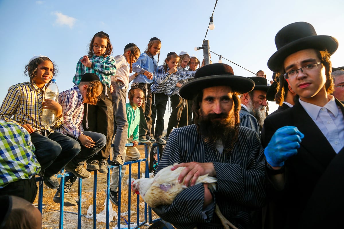 ערב יום כיפור: כפרות בבית שמש • צפו