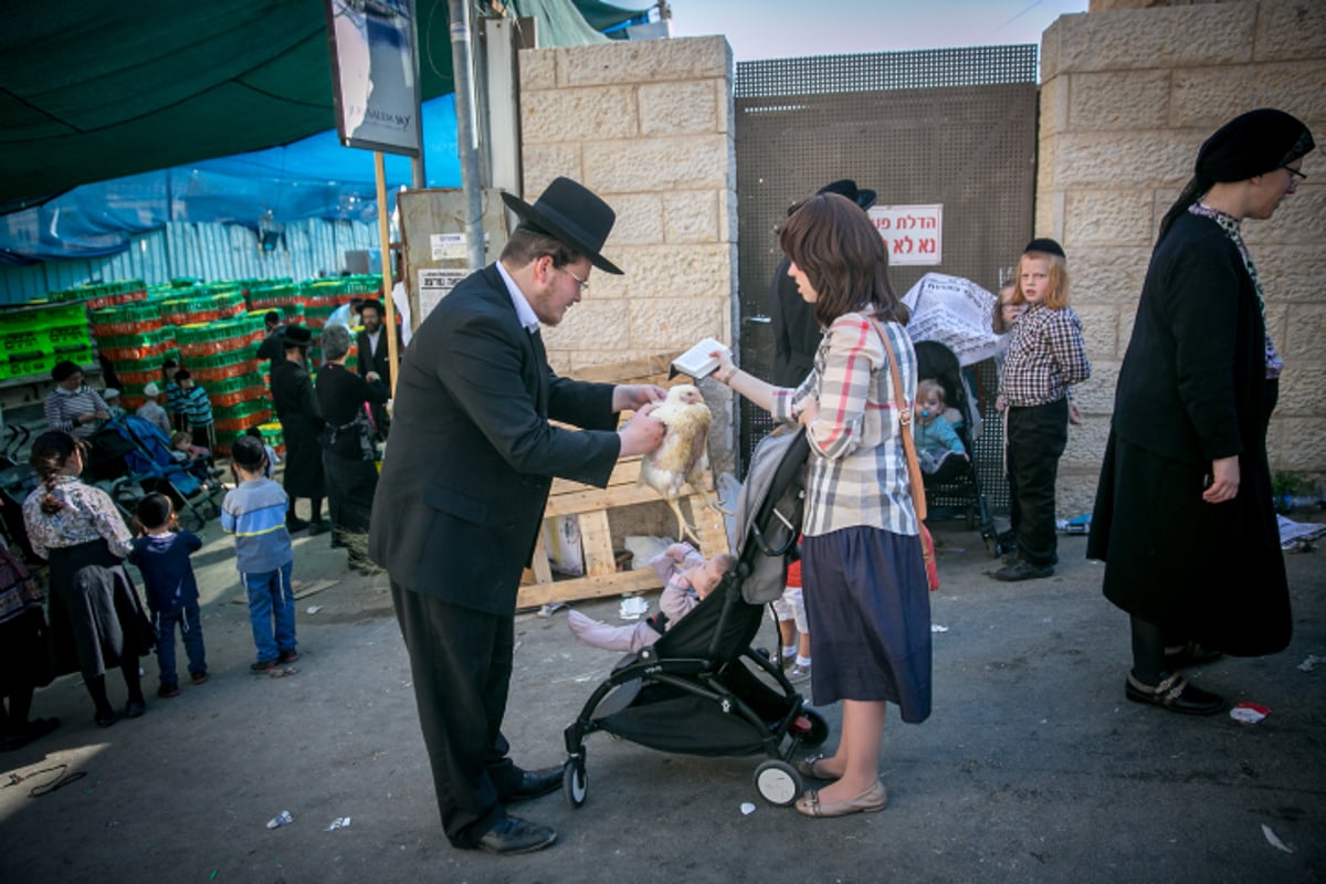 זֶה הַתַּרְנְגוֹל יֵלֵךְ לְמִיתָה • כפרות במאה שערים