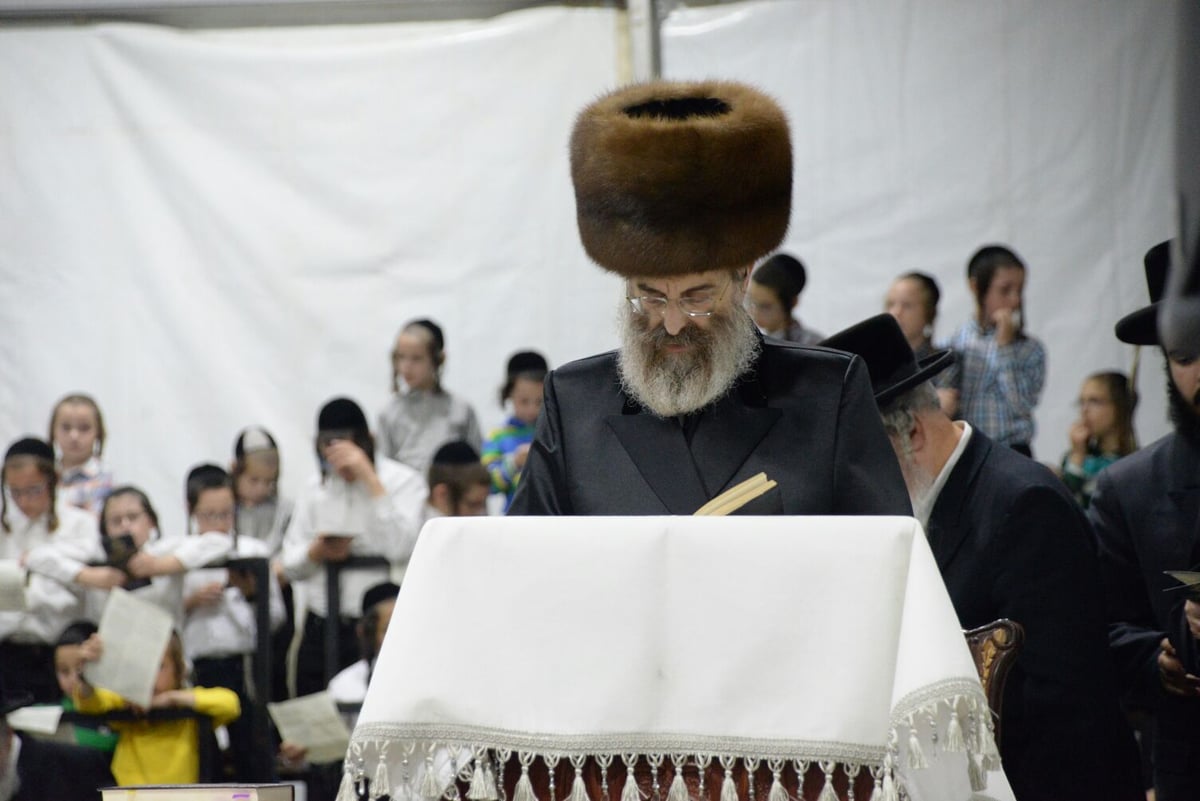 תשליך בסאדיגורא: צפו בהשלכת העוונות