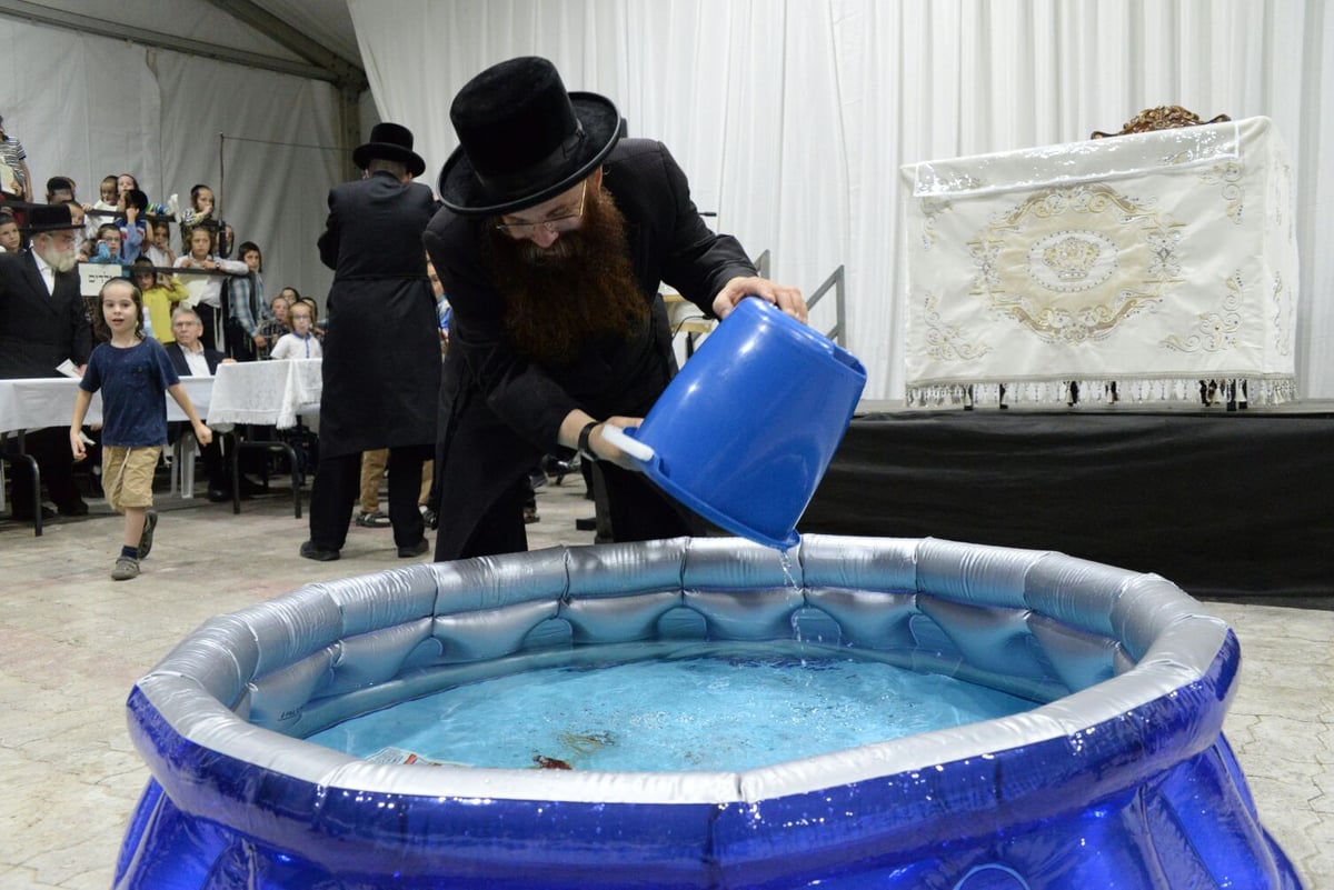 תשליך בסאדיגורא: צפו בהשלכת העוונות