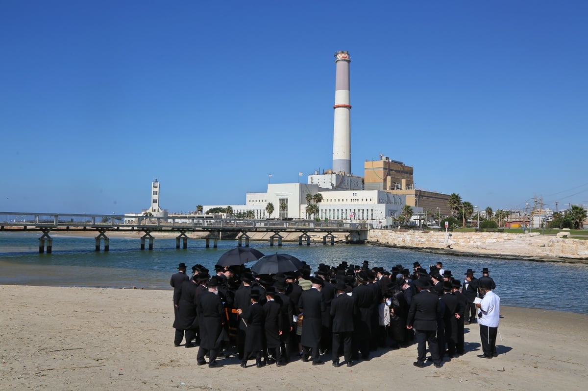 התשליך של הרבי מפרמישלאן בירקון • צפו