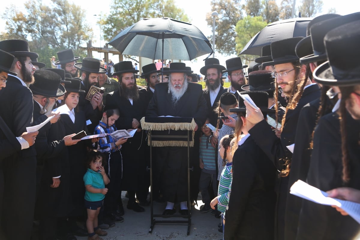 התשליך של הרבי מפרמישלאן בירקון • צפו