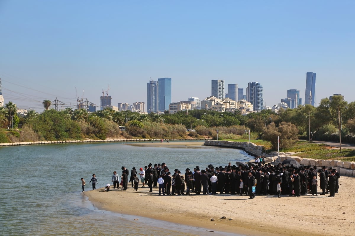 התשליך של הרבי מפרמישלאן בירקון • צפו