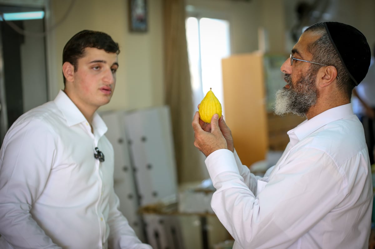 שוק ארבעת המינים בצפת • צפו בגלריה