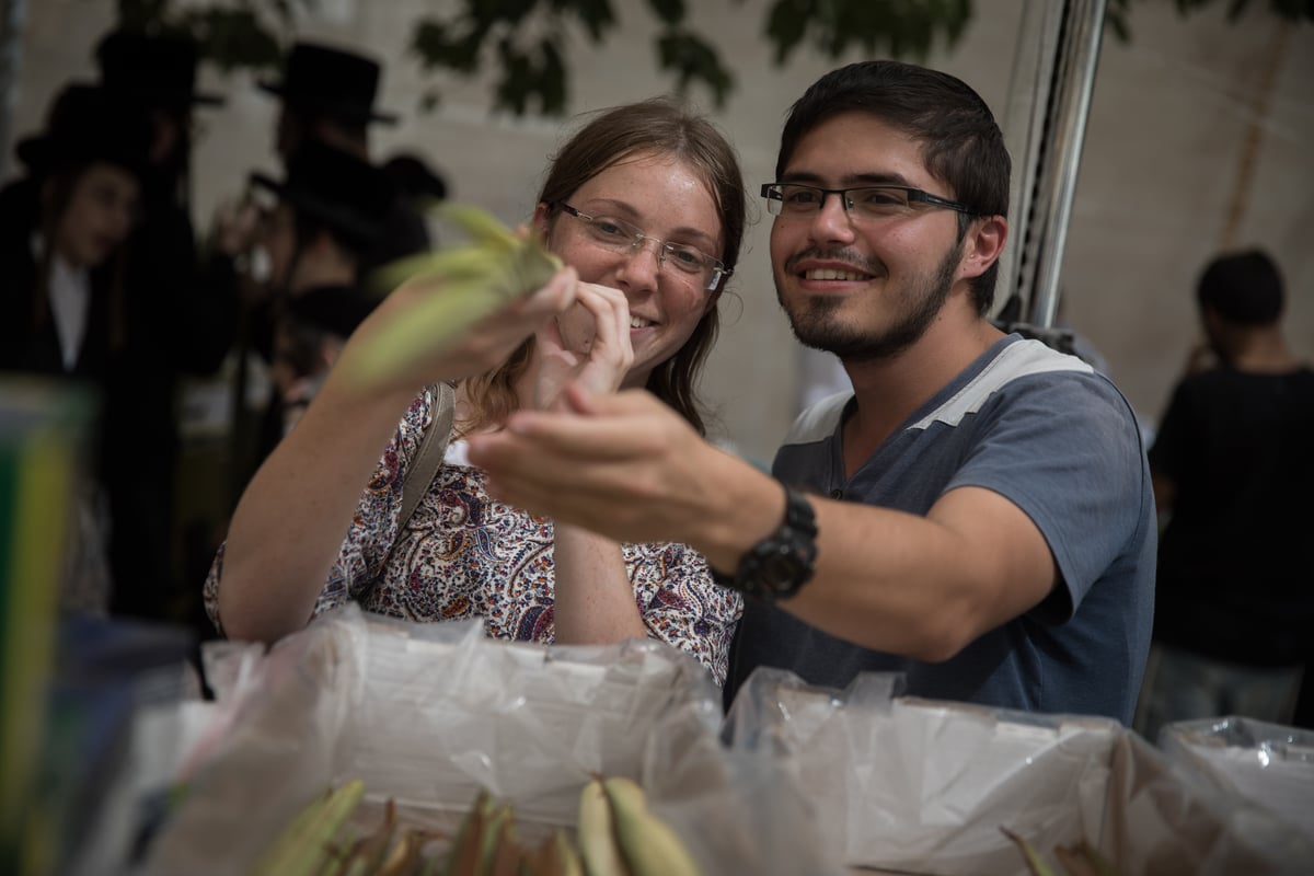 כך בוחרים ארבעת המינים בירושלים • צפו