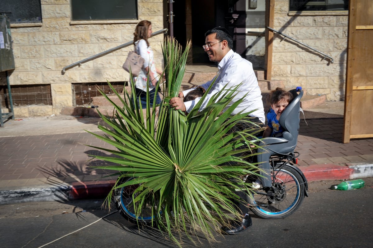 גלריה חגיגית: כך נערכים בבני ברק לחג הסוכות