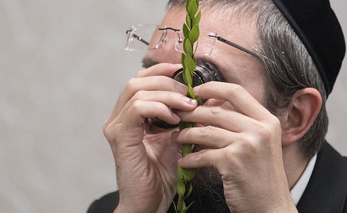 מאה שערים מתכוננת לחג הסוכות • גלריה