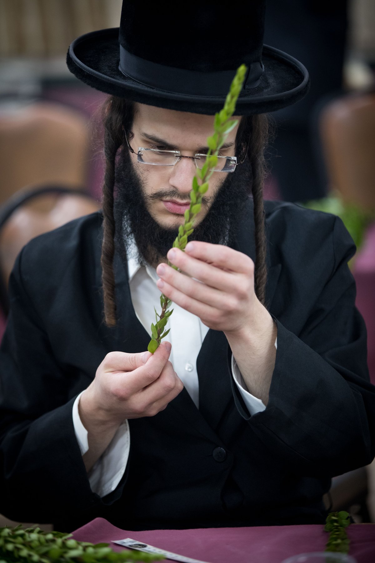 מאה שערים מתכוננת לחג הסוכות • גלריה