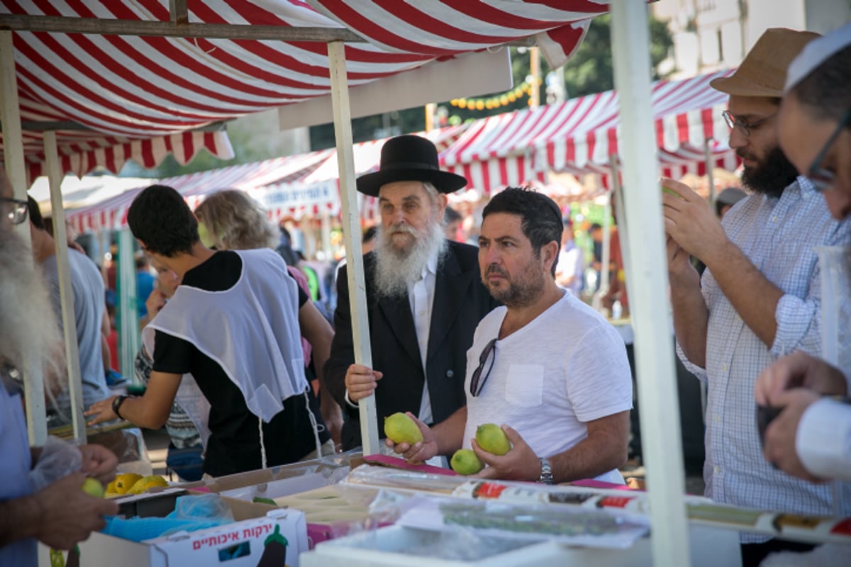 שוק ארבעת המינים בעיר תל אביב • גלריה