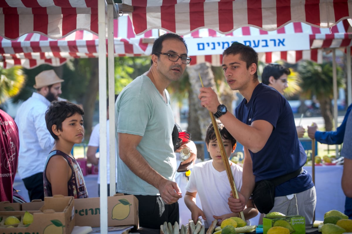 שוק ארבעת המינים בעיר תל אביב • גלריה