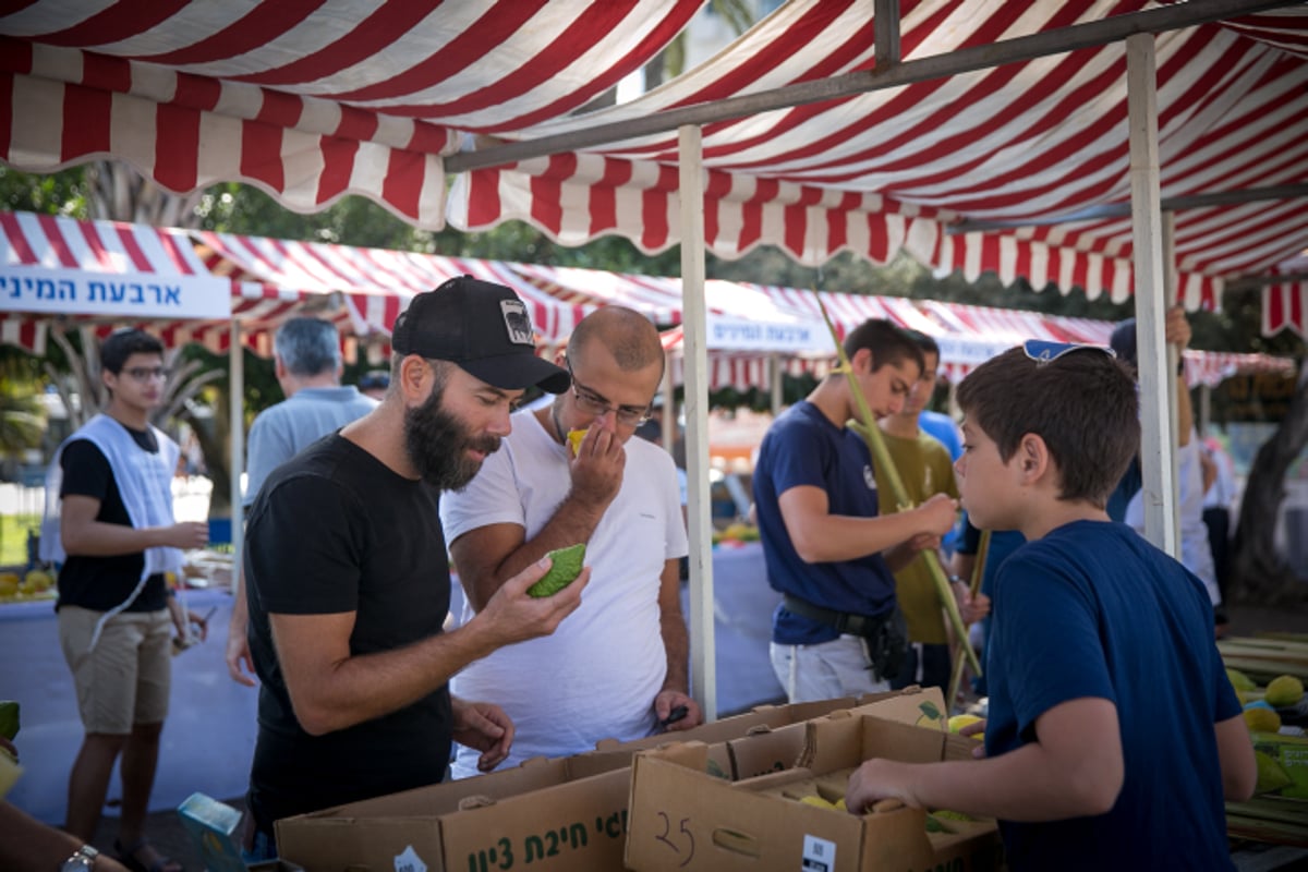 שוק ארבעת המינים בעיר תל אביב • גלריה