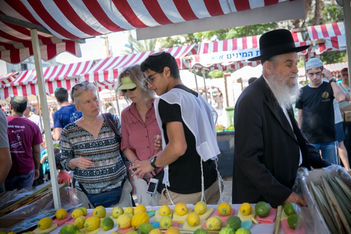 שוק ארבעת המינים בעיר תל אביב • גלריה