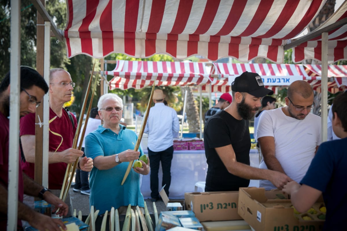 שוק ארבעת המינים בעיר תל אביב • גלריה