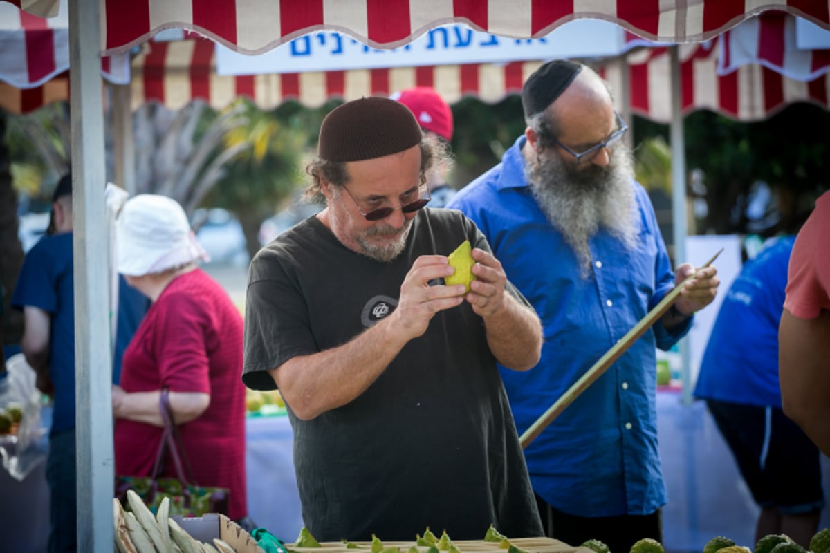 שוק ארבעת המינים בעיר תל אביב • גלריה