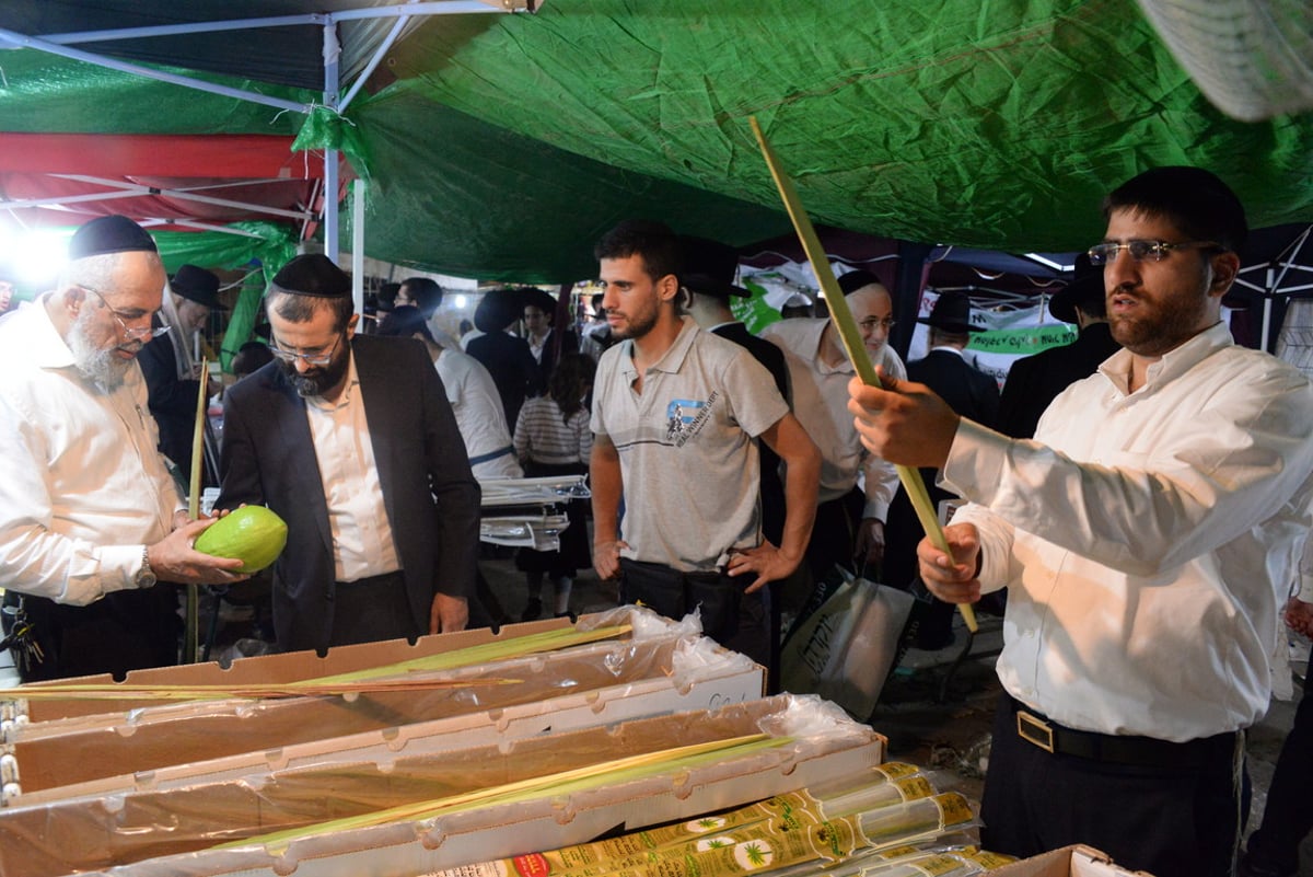 ערב חג הסוכות בעיר בני ברק • צפו בגלריה