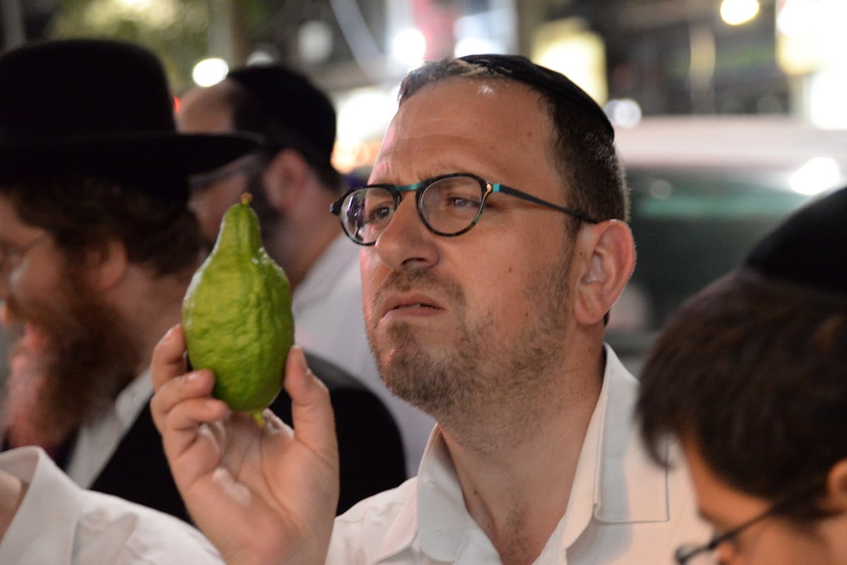 ערב חג הסוכות בעיר בני ברק • צפו בגלריה