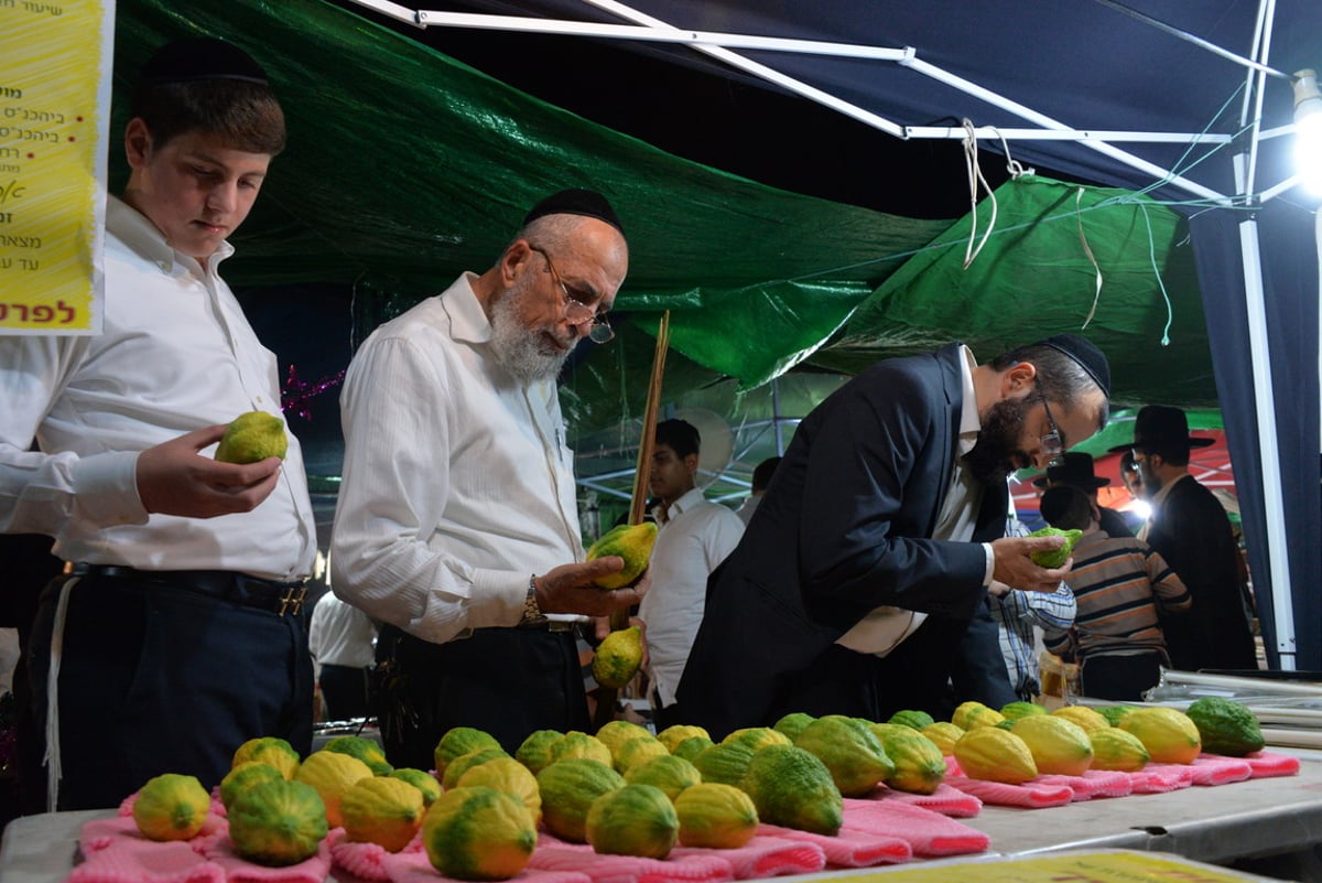 ערב חג הסוכות בעיר בני ברק • צפו בגלריה