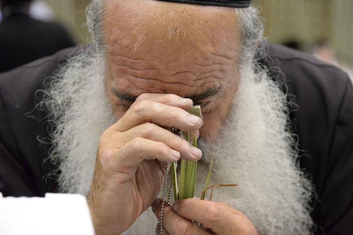 ערב חג הסוכות בעיר בני ברק • צפו בגלריה